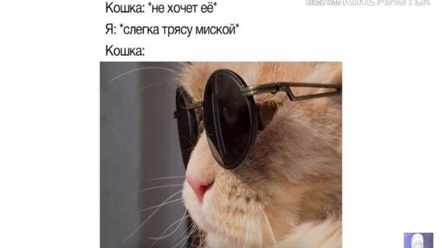 Лютые мемы! У всех кнопочные телефоны. смотреть онлайн