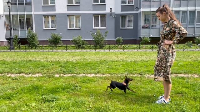 Подзыв на максималках. 3 простых способа улучшить «КО МНЕ» смотреть онлайн
