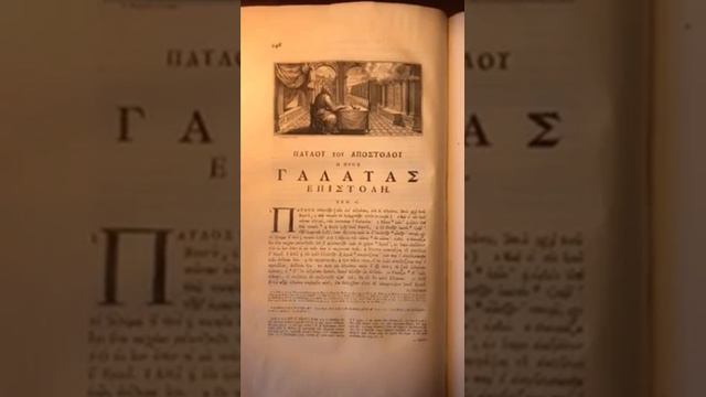 SYNESIOS 1 366 390