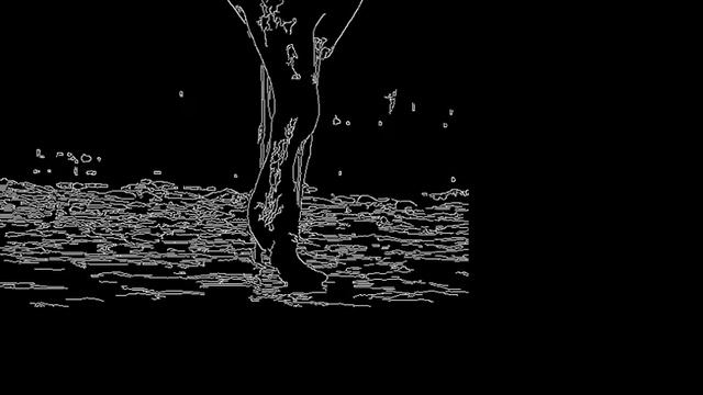 Setting threshold values for canny edge detector using trackbars in OpenCV смотреть онлайн