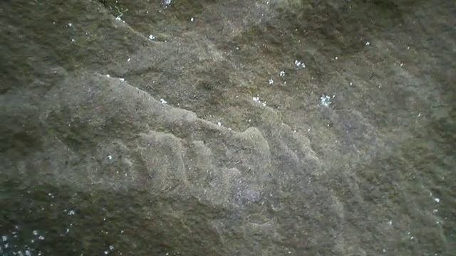 изображение змеи на дольмене