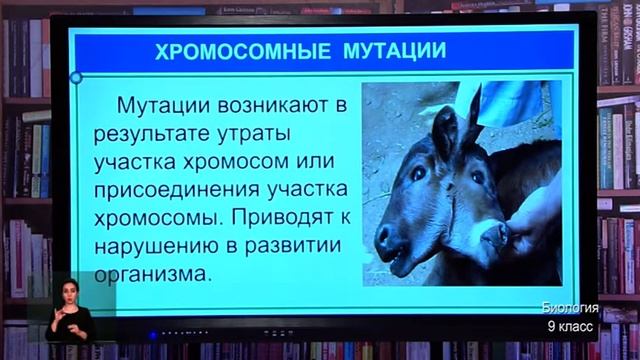 9-класс. Урок биологии. 29.04.2020 г. смотреть онлайн