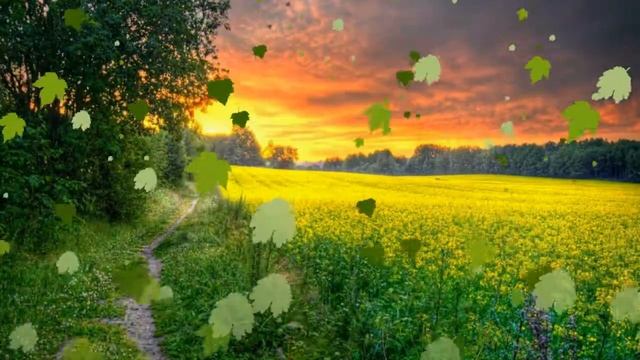 ФУтаж зеленые листья падают - ФУтаж зеленые листья летают - Footage green leaves fly fall смотреть онлайн