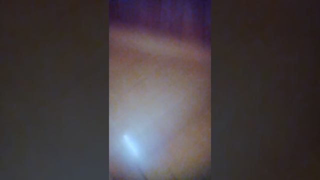 Прилипалы Тим смотреть онлайн