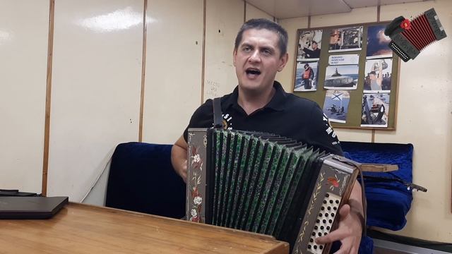 30 ЛЕТ - СЕКТОР ГАЗА | Кавер на гармони