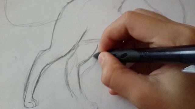 Как нарисовать СОБАКУ (ВОЛЧИЦУ) от Хавы смотреть онлайн