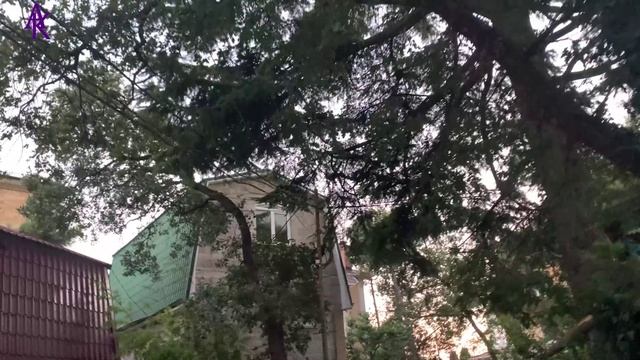 Крым. ЮБК. Гаспра. Почти закончили дорогу и что у нас по погоде. Запись от 23.08.23 смотреть онлайн