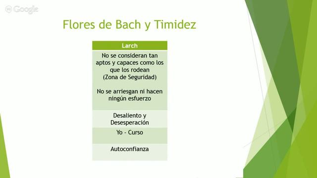 Taller 9 - Flores de Bach y Timidez - www.AprendeBach.com смотреть онлайн