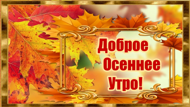 С Осенним Добрым Утром! смотреть онлайн