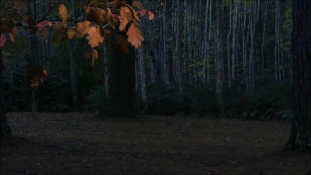 Mazzy Star - Fade Into You Sub Spanish Español смотреть онлайн