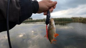 ЛУЧШАЯ ПРИМАНКА ПО МЕЛЯКАМ. ЩУКА НА МЫШЬ. ЗРЕЛИЩНЫЕ ПОКЛЁВКИ