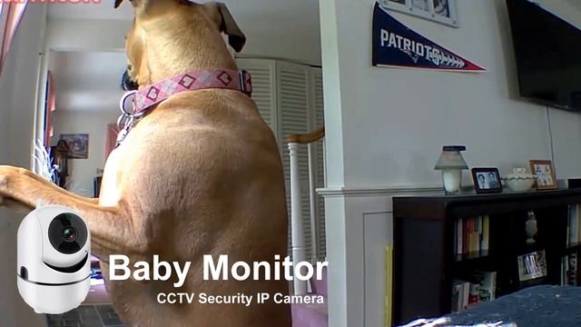 Baby Monitor 1080P Mini Indoor CCTV Security IP Camera смотреть онлайн