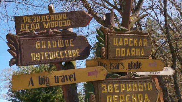 Велопробег "Дорога памяти" в Беловежской пуще смотреть онлайн