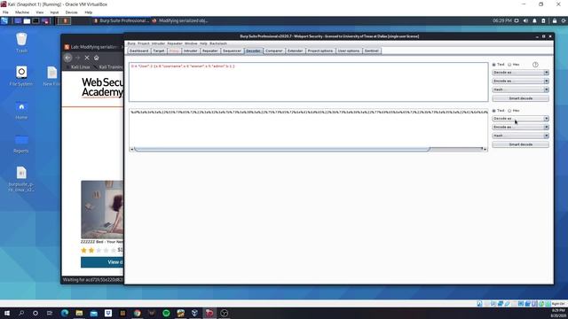 [Information Deserialization] Modifying Serialized objects смотреть онлайн