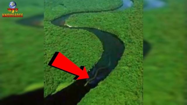 এখনো পর্যন্ত খুঁজে পাওয়া 6 টি সবথেকে বড় সাপ | BIGGEST SNAKES EVER FOUND | LARGEST SNAKES смотреть онлайн
