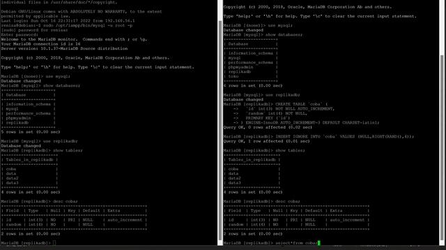 SQL REPLICATION DEBIAN | SISTER 4 смотреть онлайн