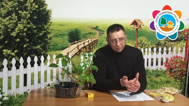 Миф Подкормка перца пшеном смотреть онлайн