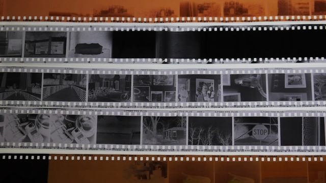 Analogue photography with Yashica camera. смотреть онлайн