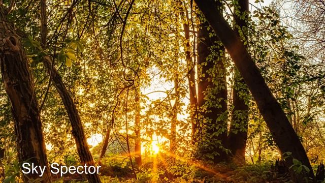 Определите кем вы не являетесь - Беседы с Шри Нисаргадаттa Махараджем. Аудиокнигa смотреть онлайн