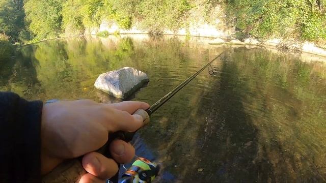 Сумасшедший клёв форели. Поход в лес. Охотничий домик. Forellenangeln. Wald.