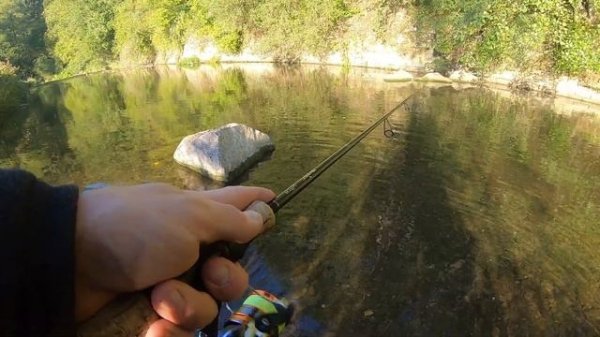 Сумасшедший клёв форели. Поход в лес. Охотничий домик. Forellenangeln. Wald.