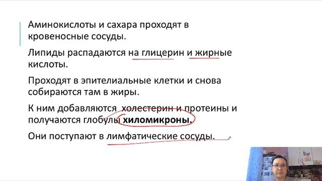 Пищеварение. Часть 2 (он-лайн урок РНПЦ "Дарын") смотреть онлайн