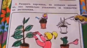 Как живут растения? Как ухаживать за растением? Окружающий мир 1 класс.