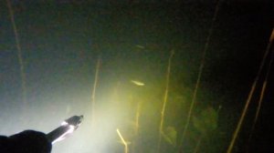 Подводная охота река Битюг Воронежская обл.