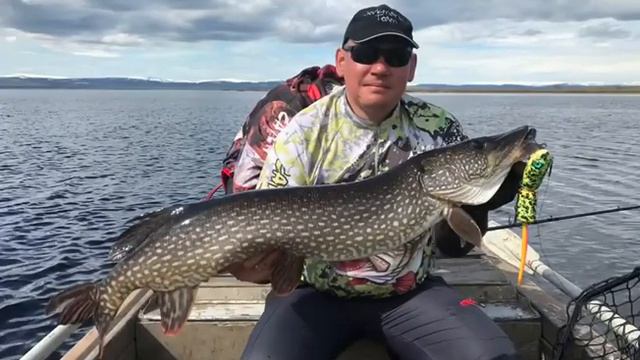 Трофейная рыбалка на северном Урале (воспоминания)🔥🔥🔥 смотреть онлайн