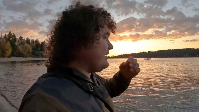 Nikon Z MC 105mm f/2.8 VR S Real World Review | The best macro lens? смотреть онлайн