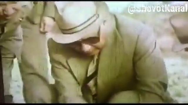 Познакомтесь Шават (1980 года) Архив - Shovotlandia смотреть онлайн