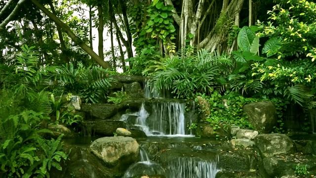 Лесной ручей | Звуки леса | Relax | Sleep music | Birdsong смотреть онлайн