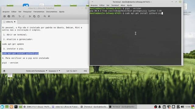 Como instalar o Pip no Ubuntu, Debian, Mint e outras distribuições Linux смотреть онлайн