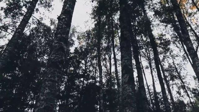 VID 20220723 201025 Весть с юга (Г. Айги)...Павел Васильев Лахтинский смотреть онлайн