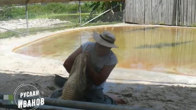 Нападения животных на людей #11 Жесткие и суровые нападки диких животных и млекопитающих смотреть онлайн