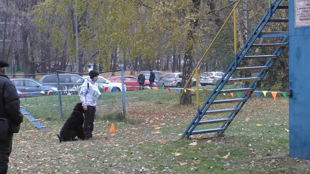 "Путёвка в жизнь" 24.10.2015 г. смотреть онлайн