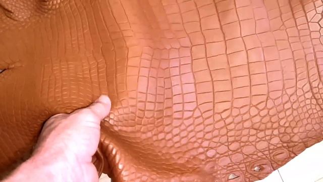 Кожа крокодила, плотная выделка, матовая поверхность! смотреть онлайн