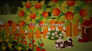 Занятие: «Овощи и фрукты - полезные продукты»