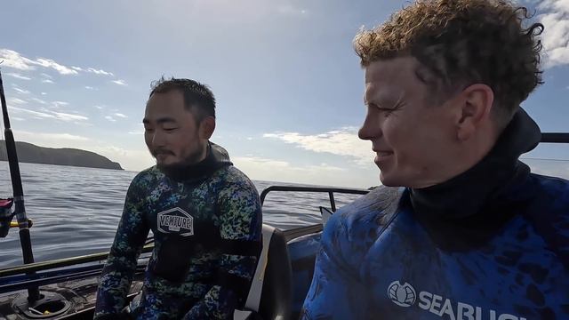 CRAZY Spearfishing (Sharks Frenzy) New Zealand смотреть онлайн