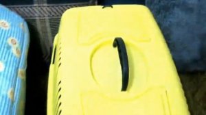 Как выбрать переноску для собаки - переноска для йорка