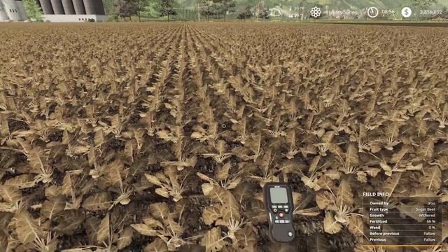 CROPS & THE MT9 - Guide to Seasons - Farming Simulator 19 смотреть онлайн