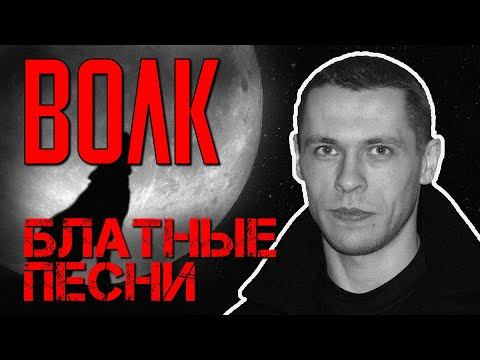 Волк | Блатные песни | Русский Шансон смотреть онлайн