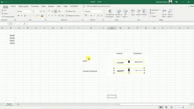 Quantification of western blot using imageJ for beginners | western blot quantification | imagej | смотреть онлайн