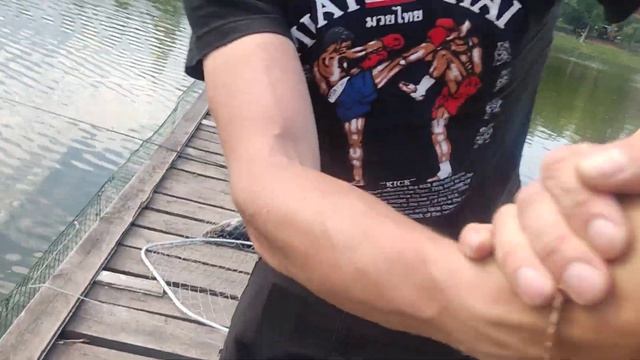 2.06.23 КРХ Белая Дача ,ВИП - ЗОНА ,мечта рыбака о белуге сбылась!Рыбалка Белая Дача,мечты сбываютс смотреть онлайн