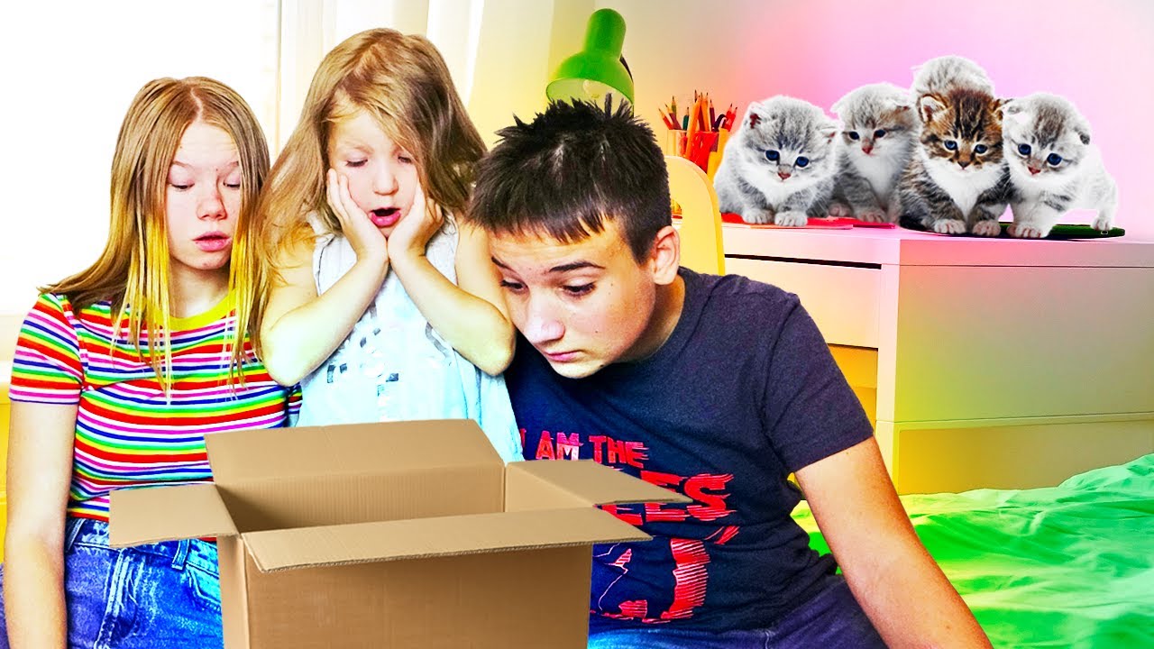 Старшая сестра и брат ищут котят, они потерялись дома, младшая разыгрывает их смотреть онлайн