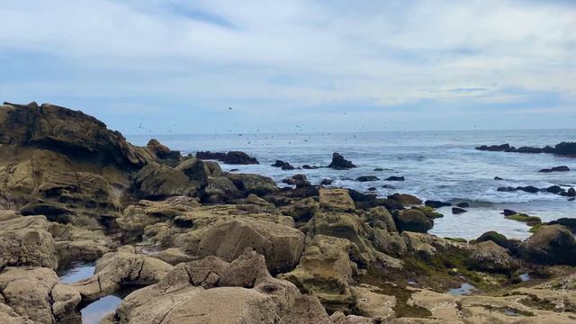 Yoga Music Mix 2022  New Yoga 2022 With Ocean Background  Healthy Yoga Music