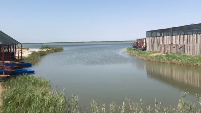 Кириловка 29.07.2021! Федотова коса и Степок! Погода классная все купаются! Медуз нет! Море сейчас смотреть онлайн