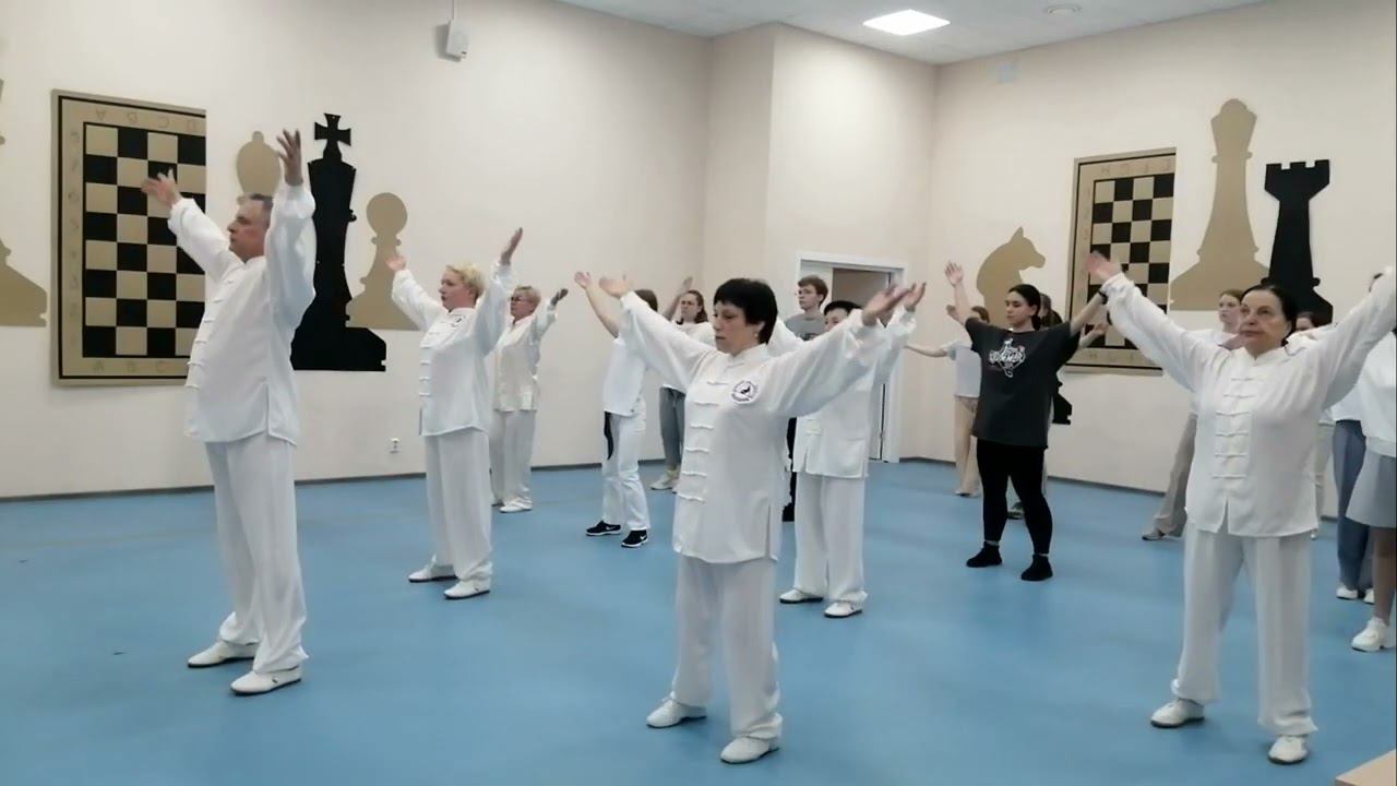World Tai-Chi Qigong Day in Rostov-on-Don, Russa 2023 смотреть онлайн