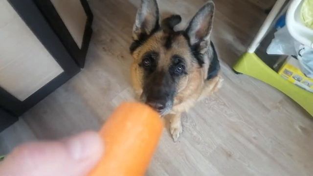 Рецензии на Книги и Литературу