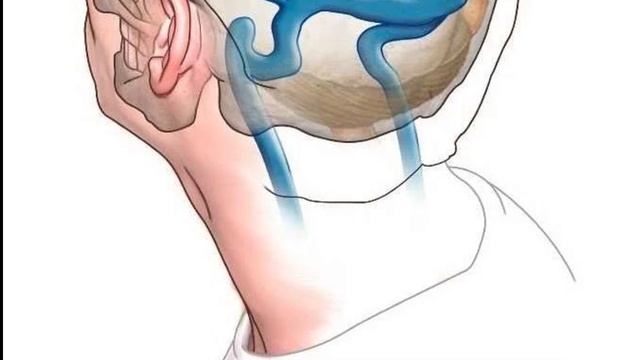 Каждый сутки ПОДНИМАЙТЕ НОГИ вверх! И Вы избавитесь от следующих БОЛЕЗНЕЙ... врачи в шоке!..... смотреть онлайн